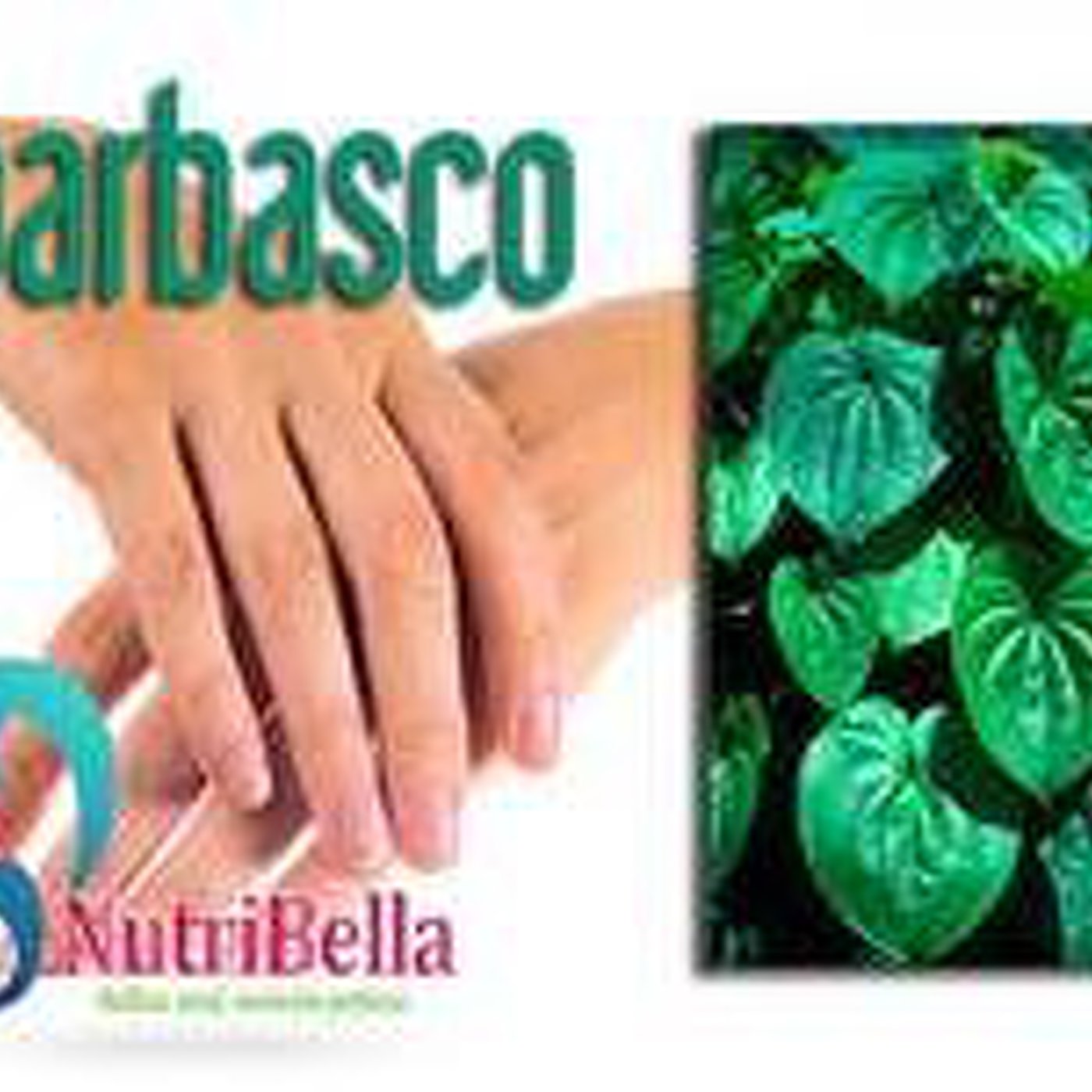Nutribella 05/09/2015 - BARBASCO episode artwork