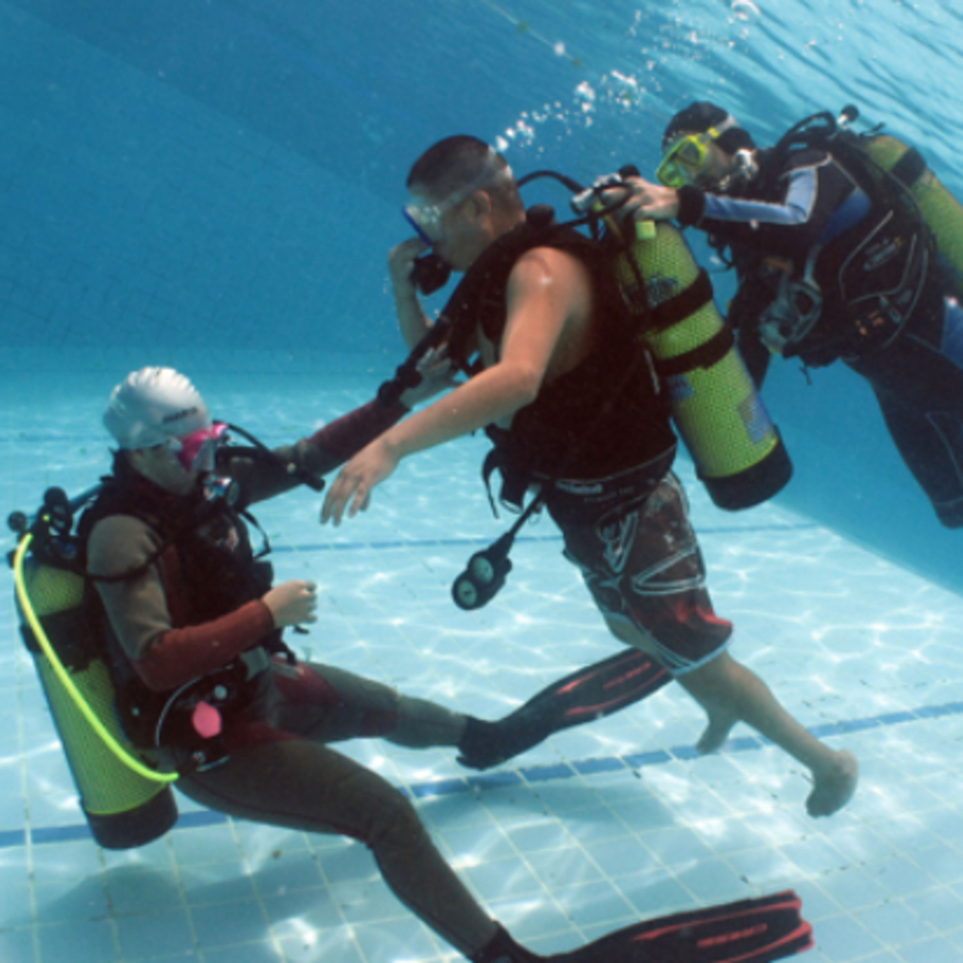 programayolotransformo