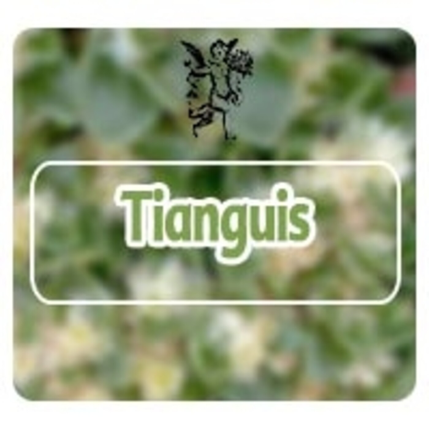 El Angel de tu Salud - TIANGUIS** episode artwork