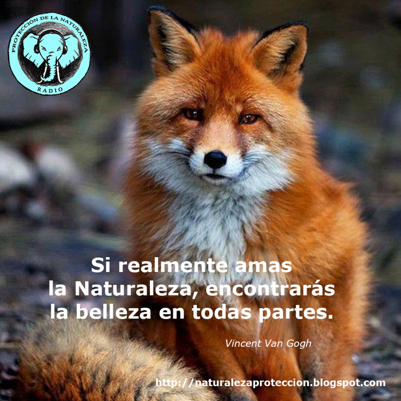 Protección de la Naturaleza Radio