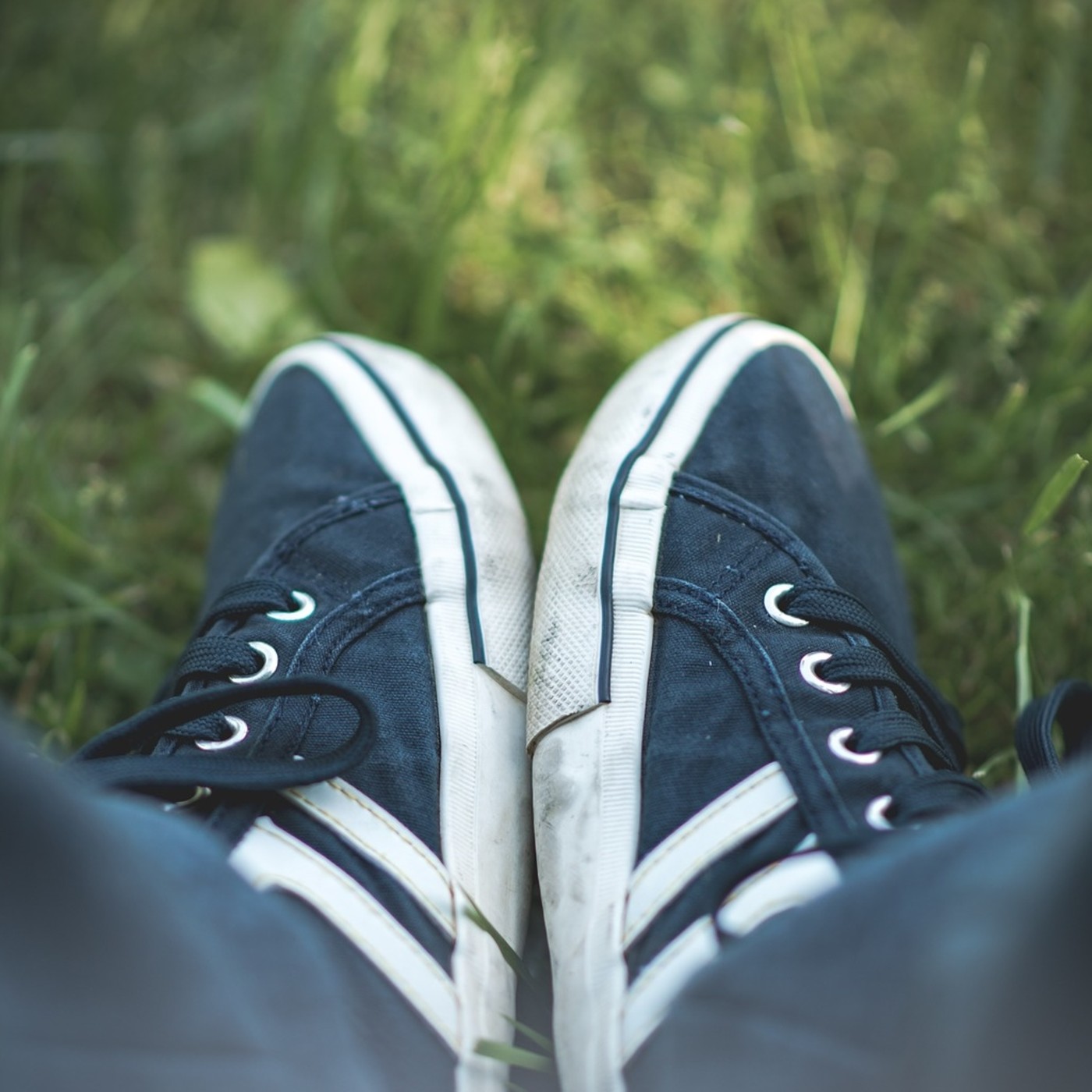 Entradas blog Osoa Accion Integral