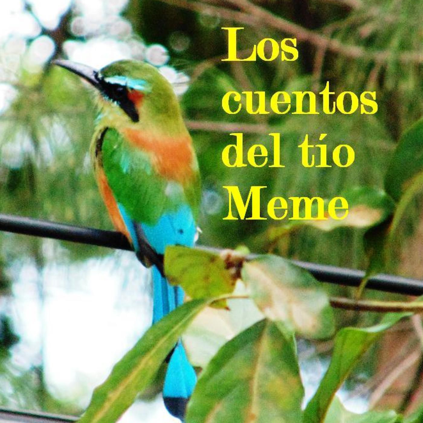 LOS CUENTOS DEL TÍO MEME