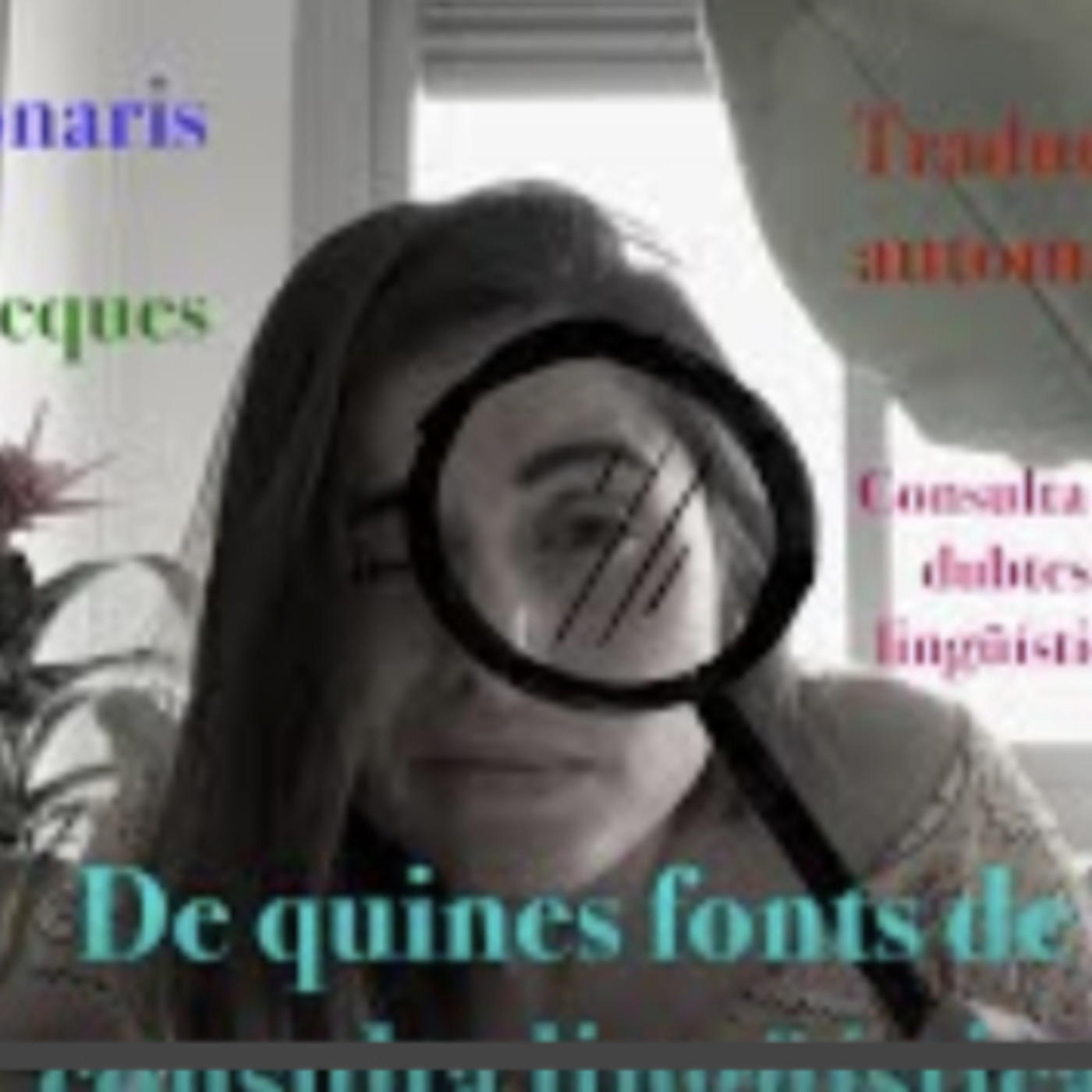 Miscel·lània d’Aina