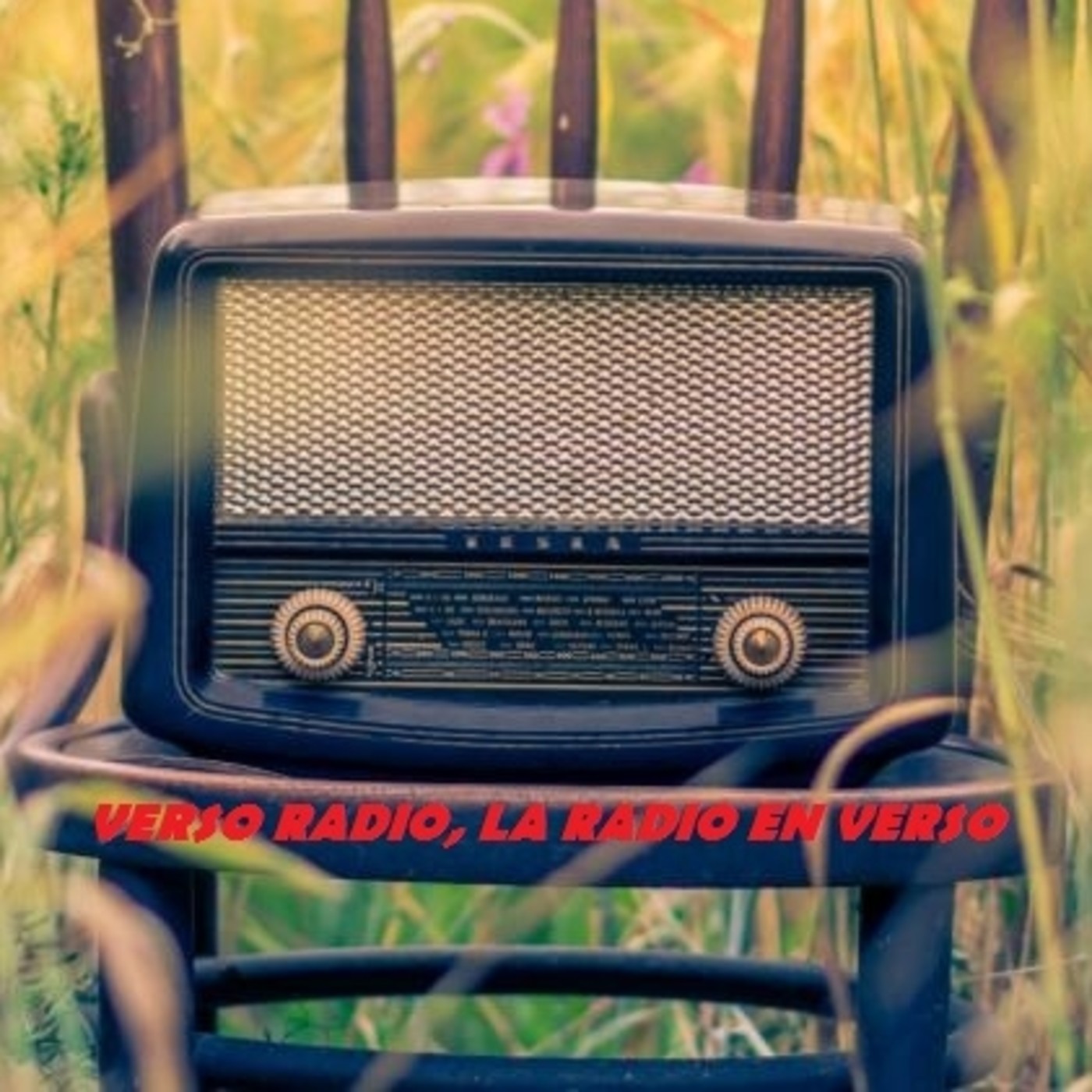 LA  CAJA DE PANDORA