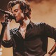 wild thoughts-harry styles