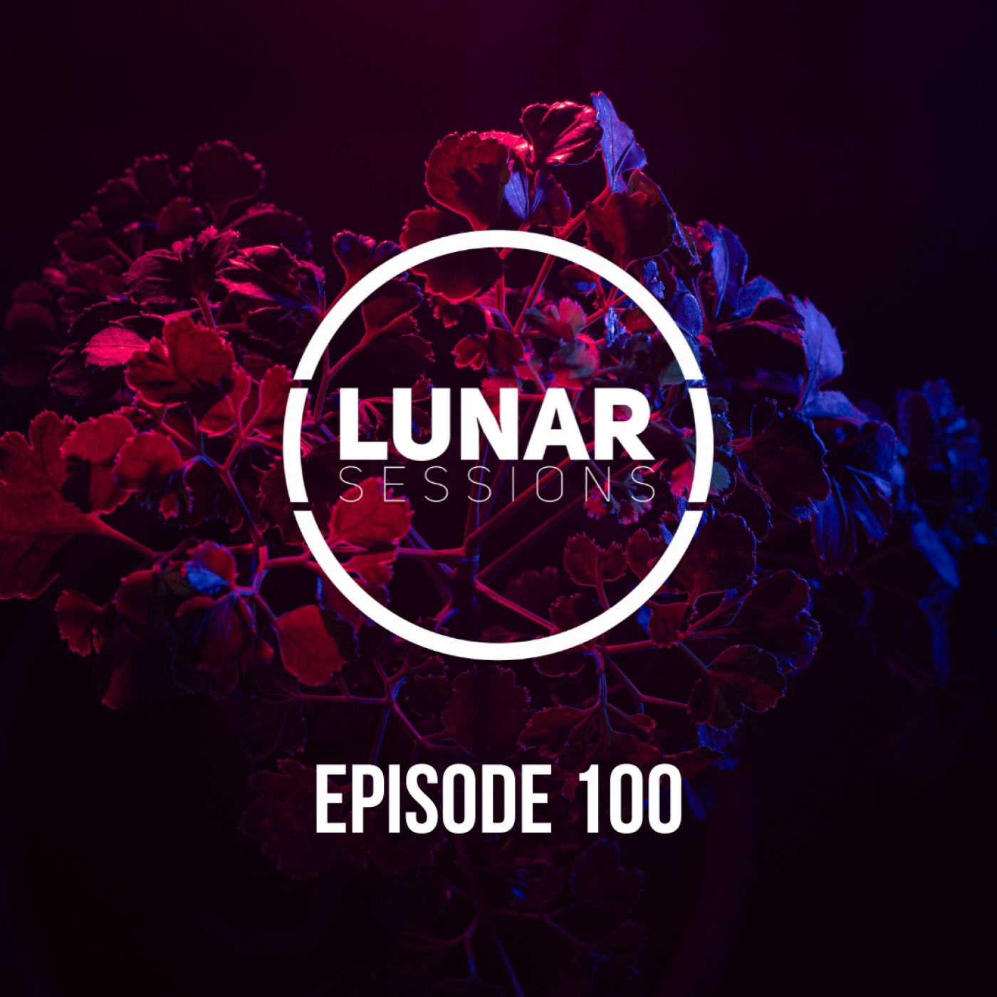 Lunar Sessions