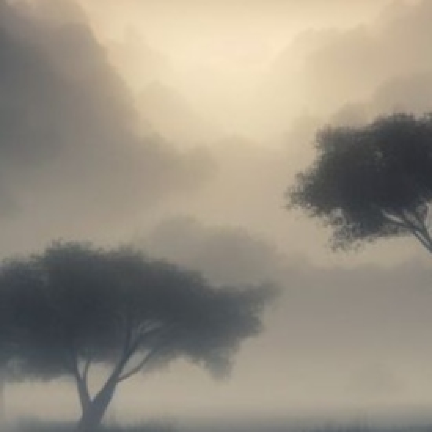 Sueños