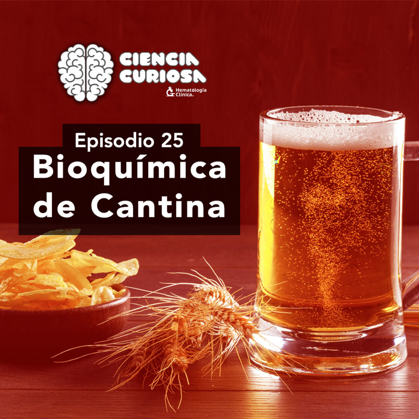 Ciencia Curiosa
