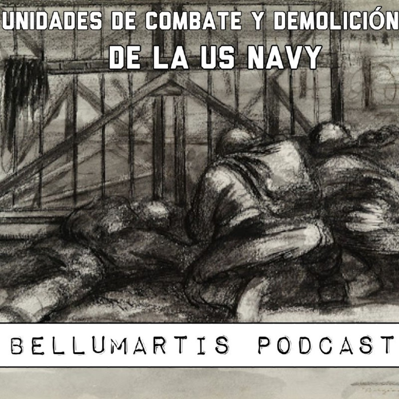 UNIDADES DE COMBATE Y DEMOLICIÓN DE LA ARMADA NORTEAMERICANA. Metralla de Historia