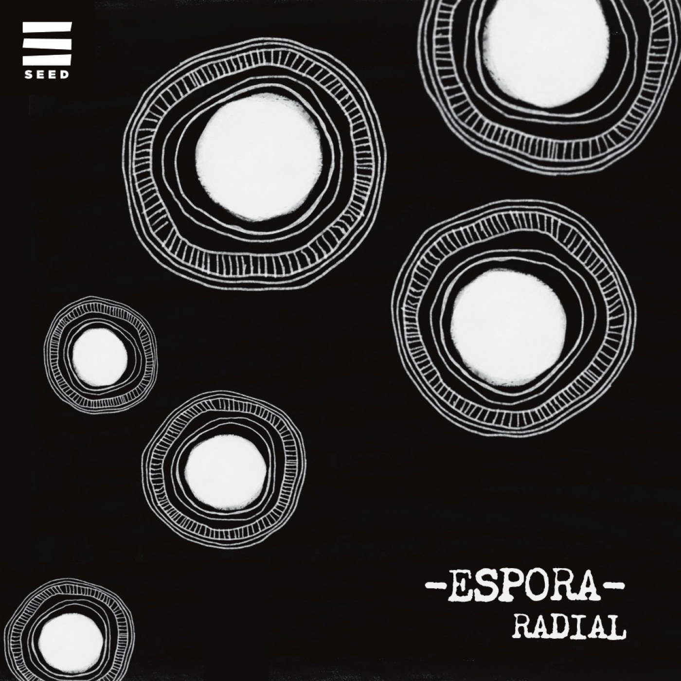 El lenguaje del micelio: RADIAL episode artwork