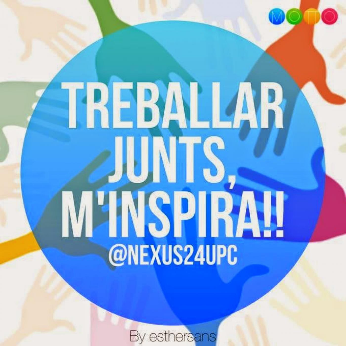 TejeRedes Organizacional
