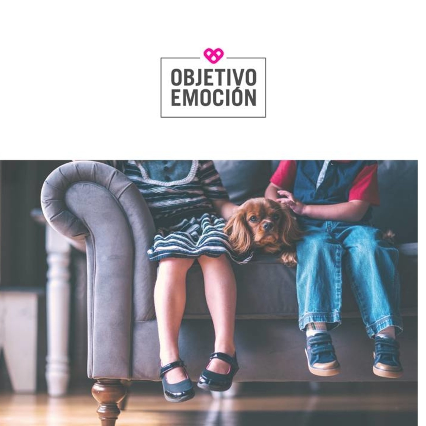 OBJETIVO EMOCION