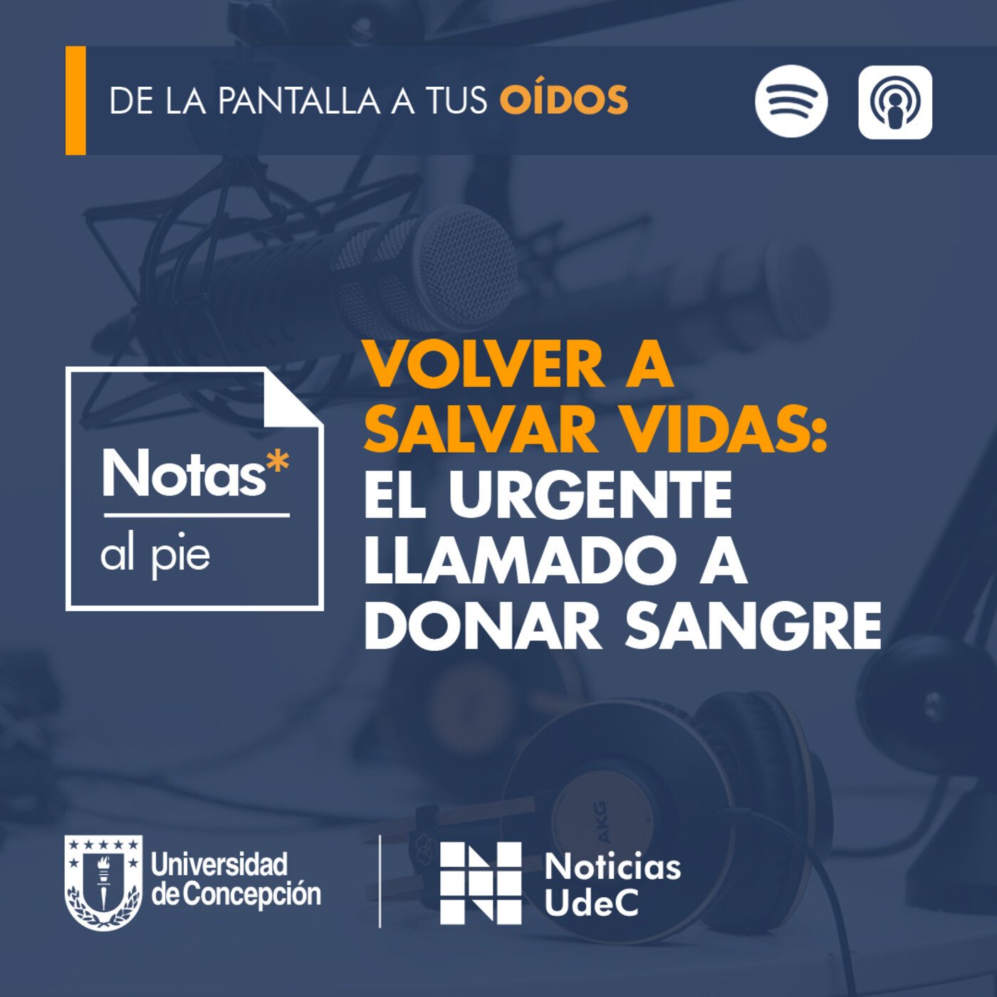 Notas al pie
