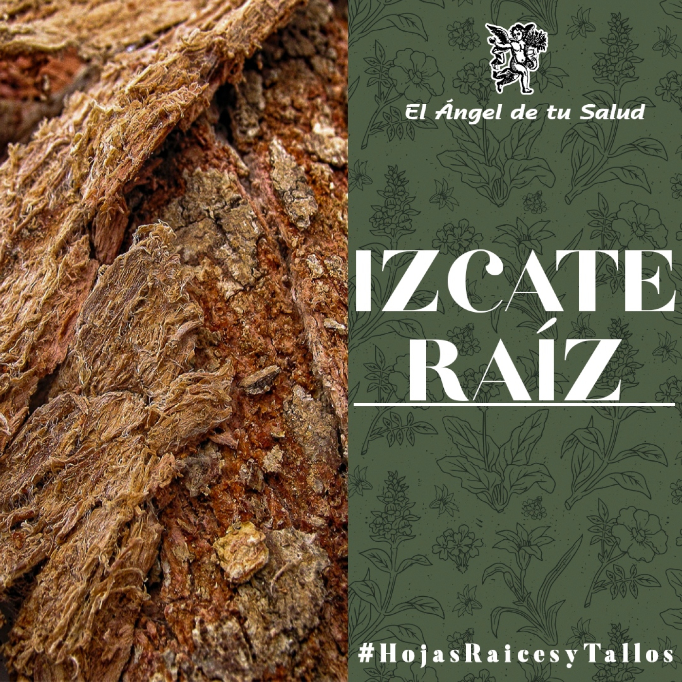 El Ángel de tu Salud - Izcate Raíz** episode artwork