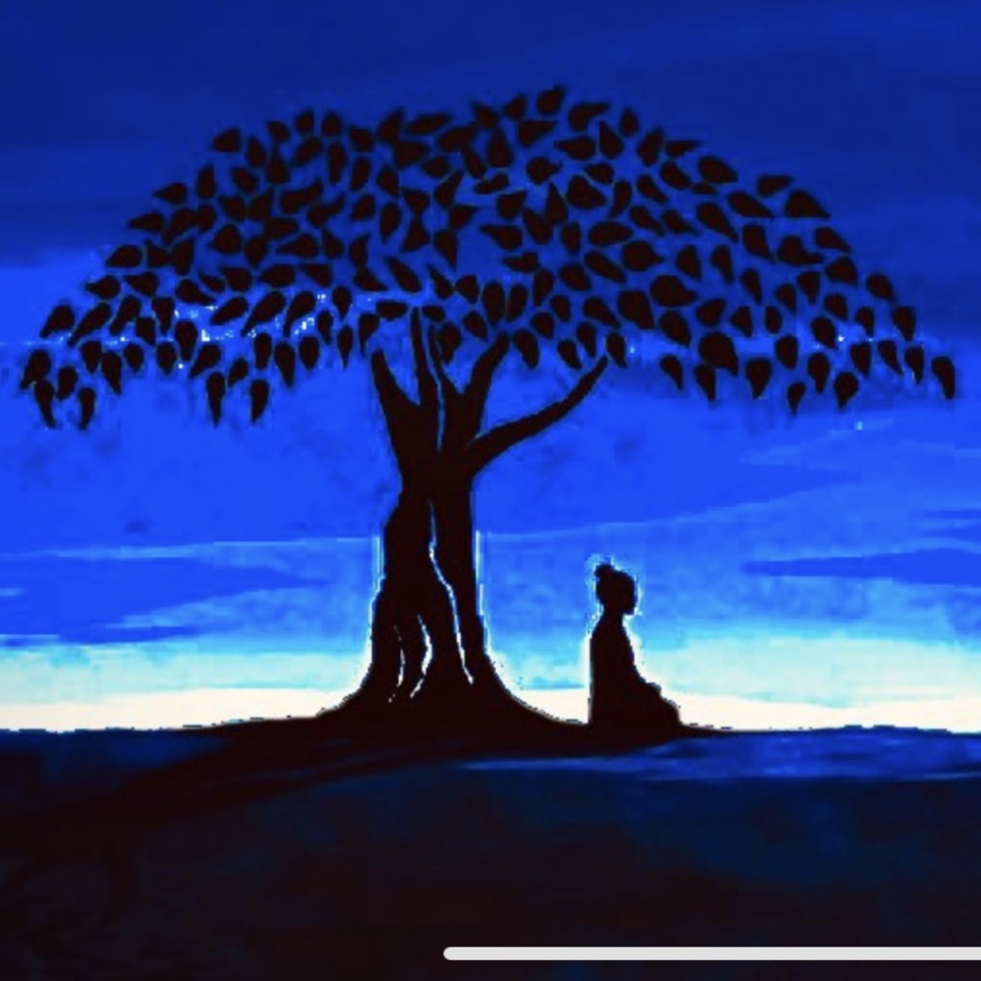Nemmy Sanbo Meditación
