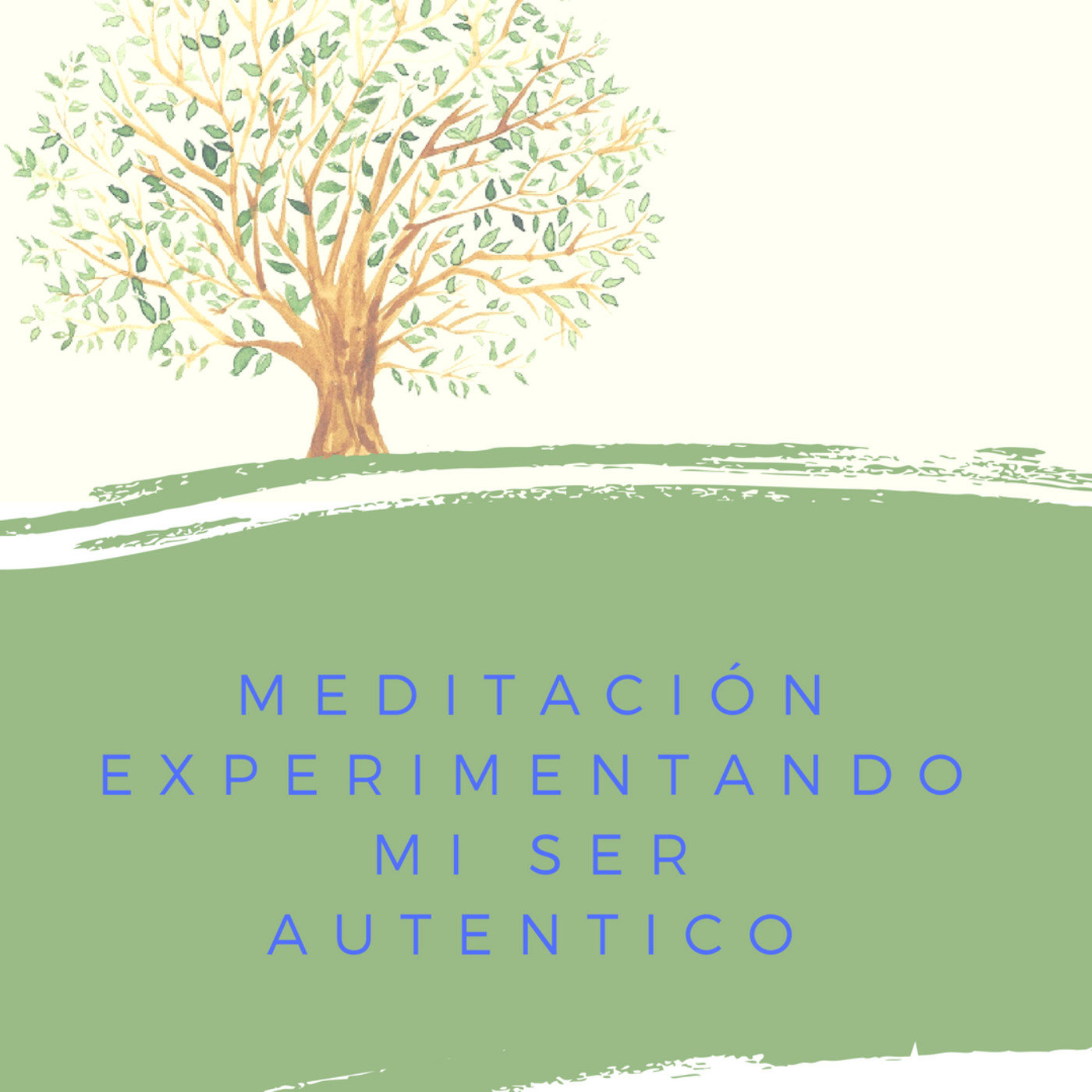 Asociación Buscadores de Plenitud