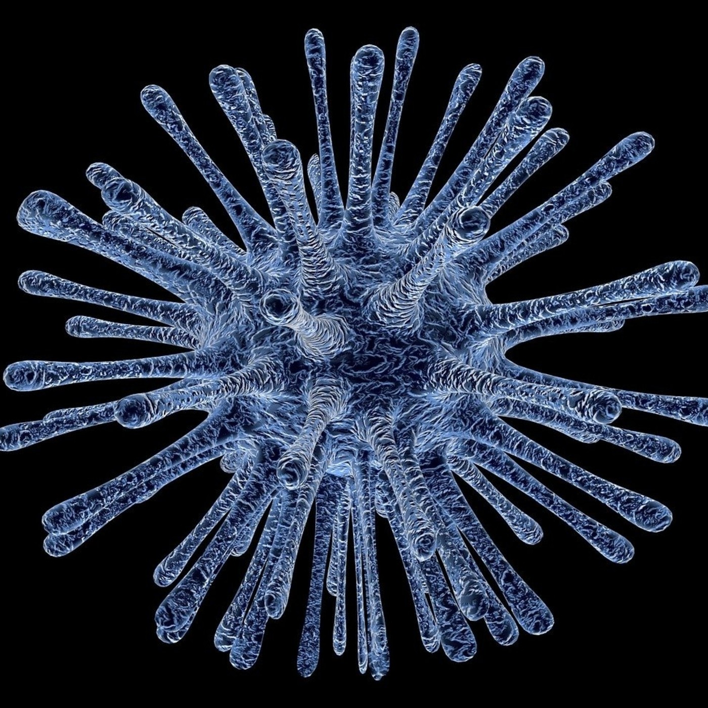 Coronavirus y desarrollismo en el turismo