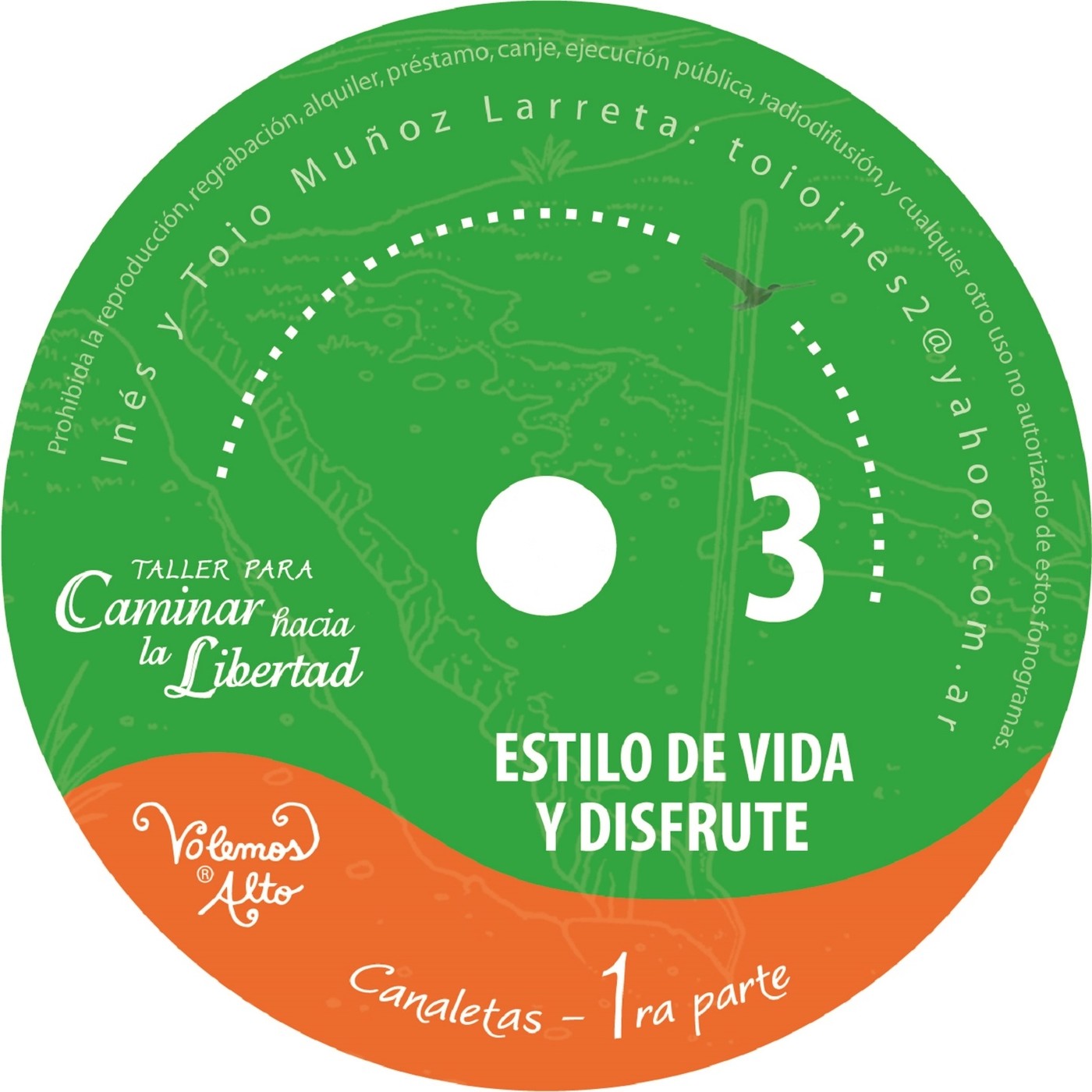 Taller para Caminar hacia la Libertad: 4 Áreas de