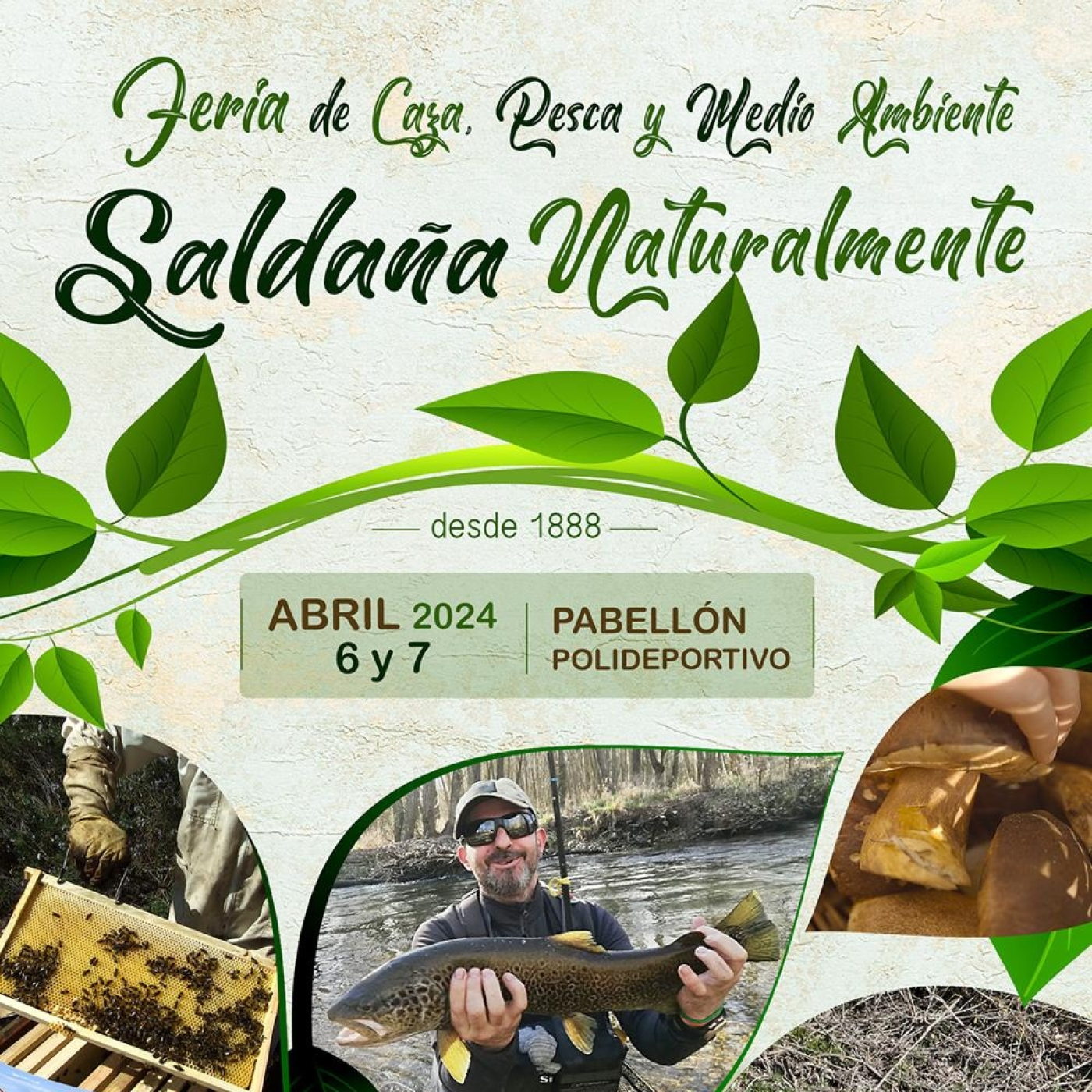 Rio de la Vida pesca