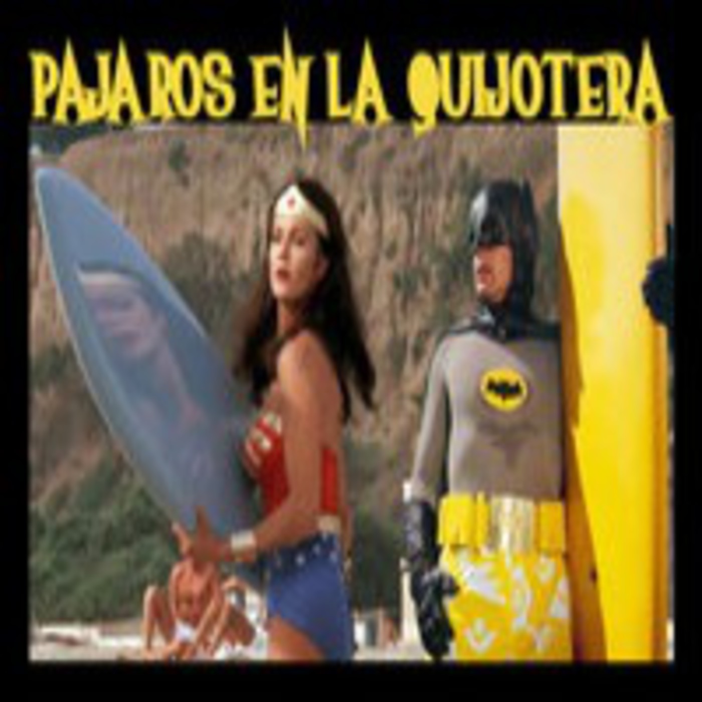 Pájaros en la Quijotera