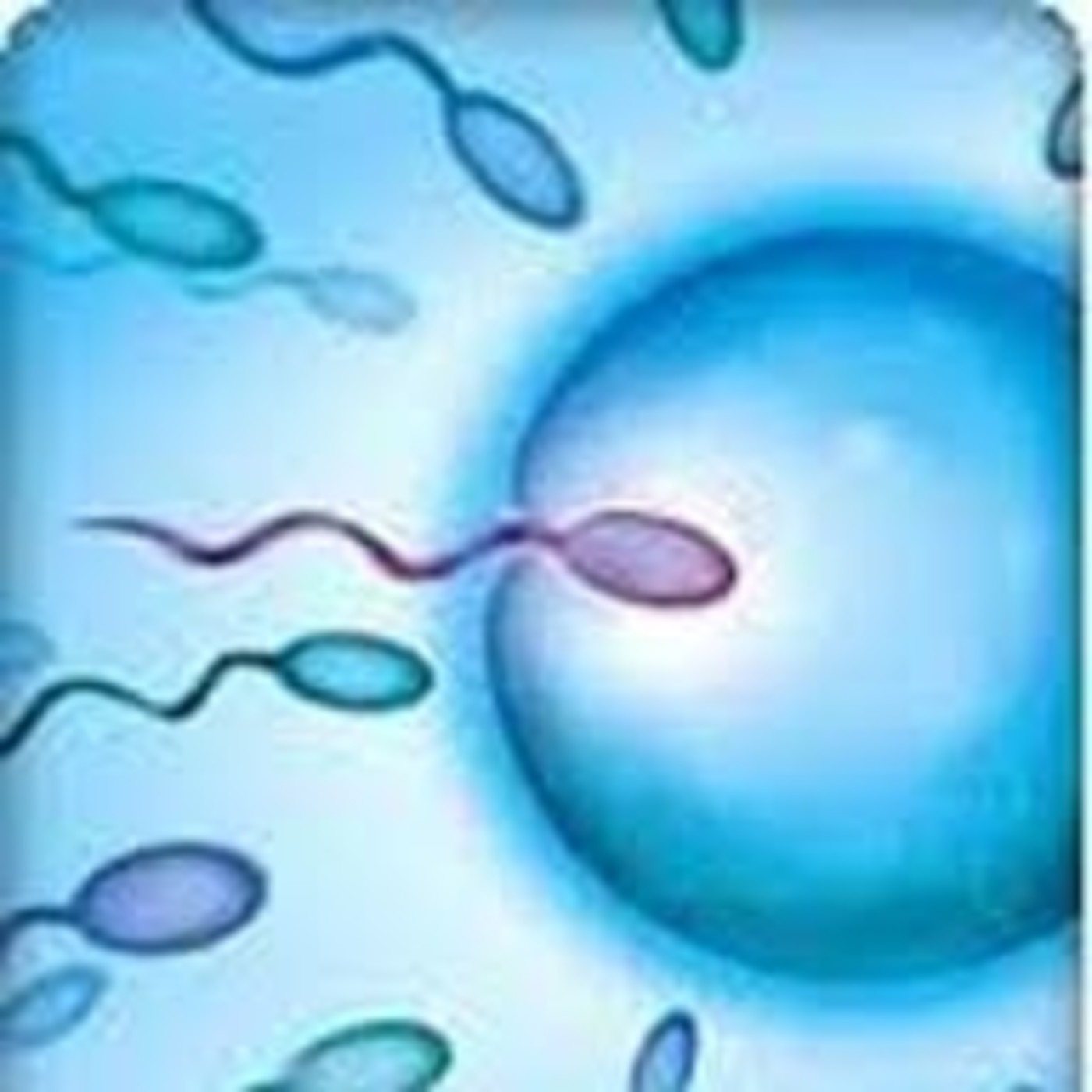 TERAPIA BIOMAGNÉTICA