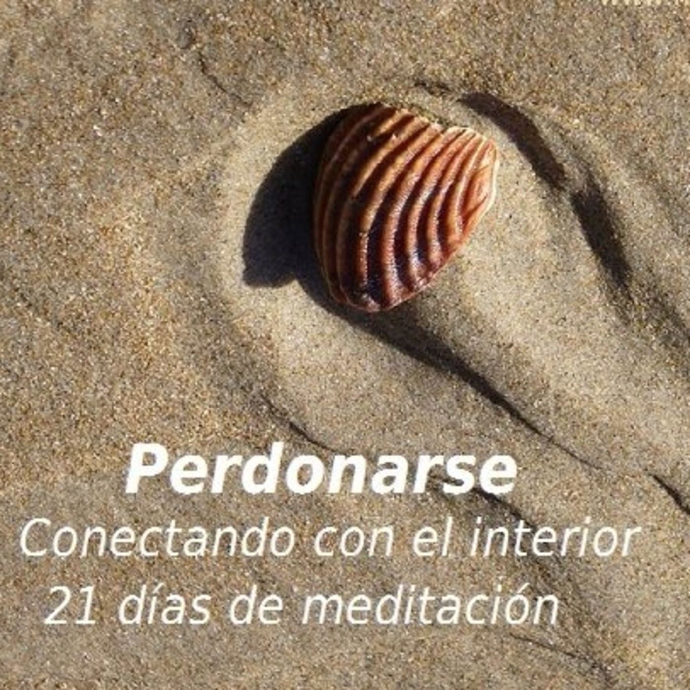 21 días de meditación, conectando con el interior