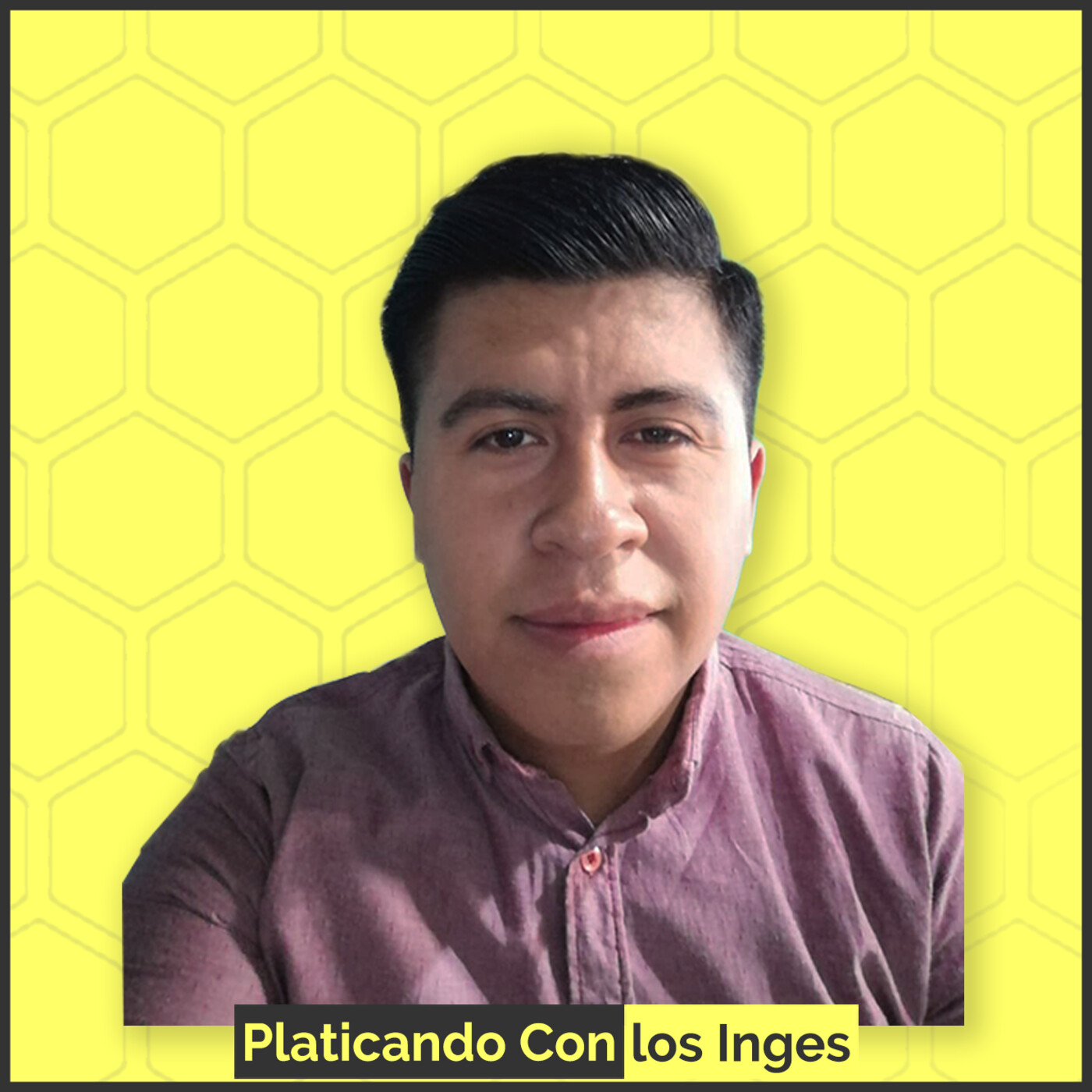 Platicando Con los Inges