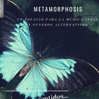 metamorfosis amy winehouse 11 de septiembre de 2019