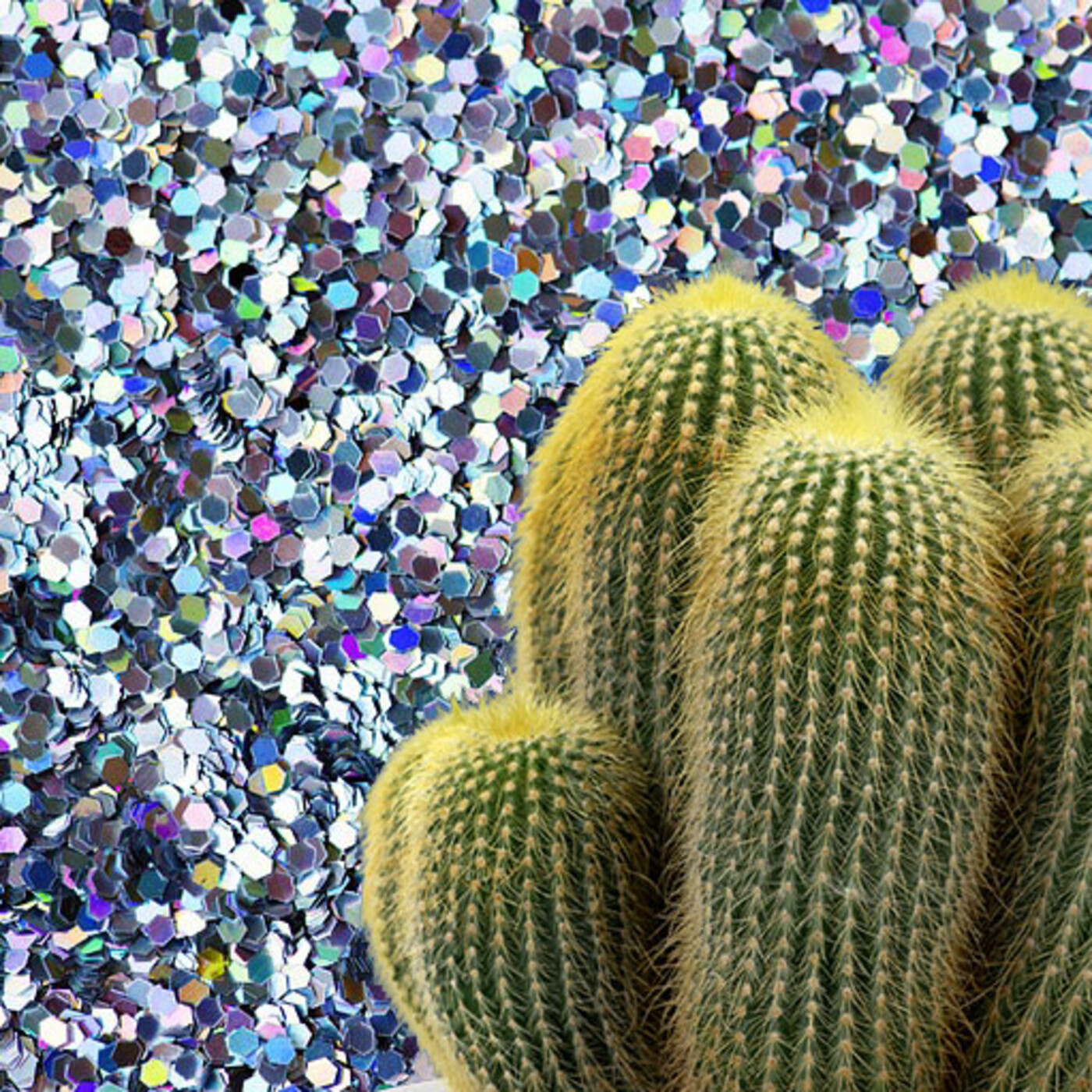 Cactus Confetti