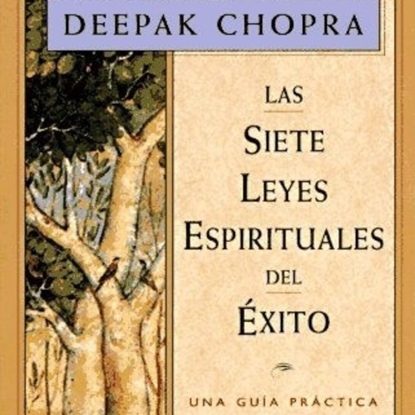 Salvador Mingo -Conocimiento Experto-