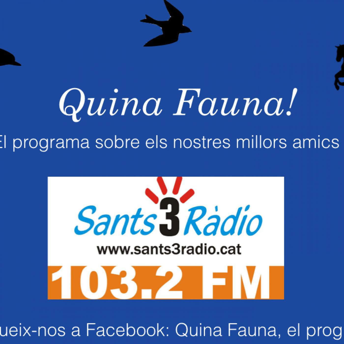 Quina Fauna