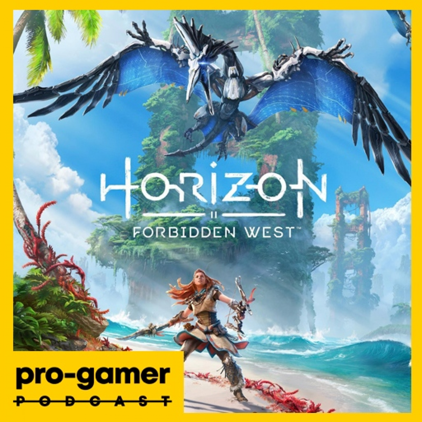 pro-gamer PODCAST