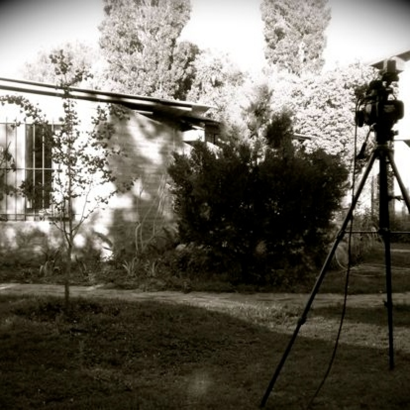 Programa "Alternativa Extraterrestre" Nº 2865 12/03/2023 episode artwork