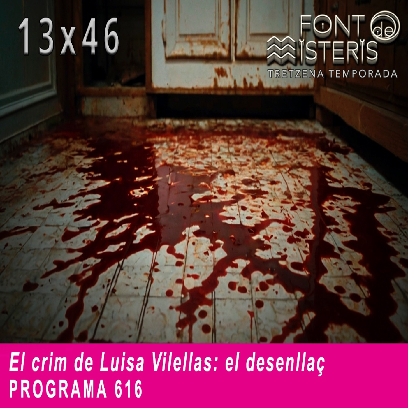 El crim de Luisa Vilellas: el desenllaç (T13- Programa 616)