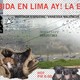 63. Programa del 24/05/19