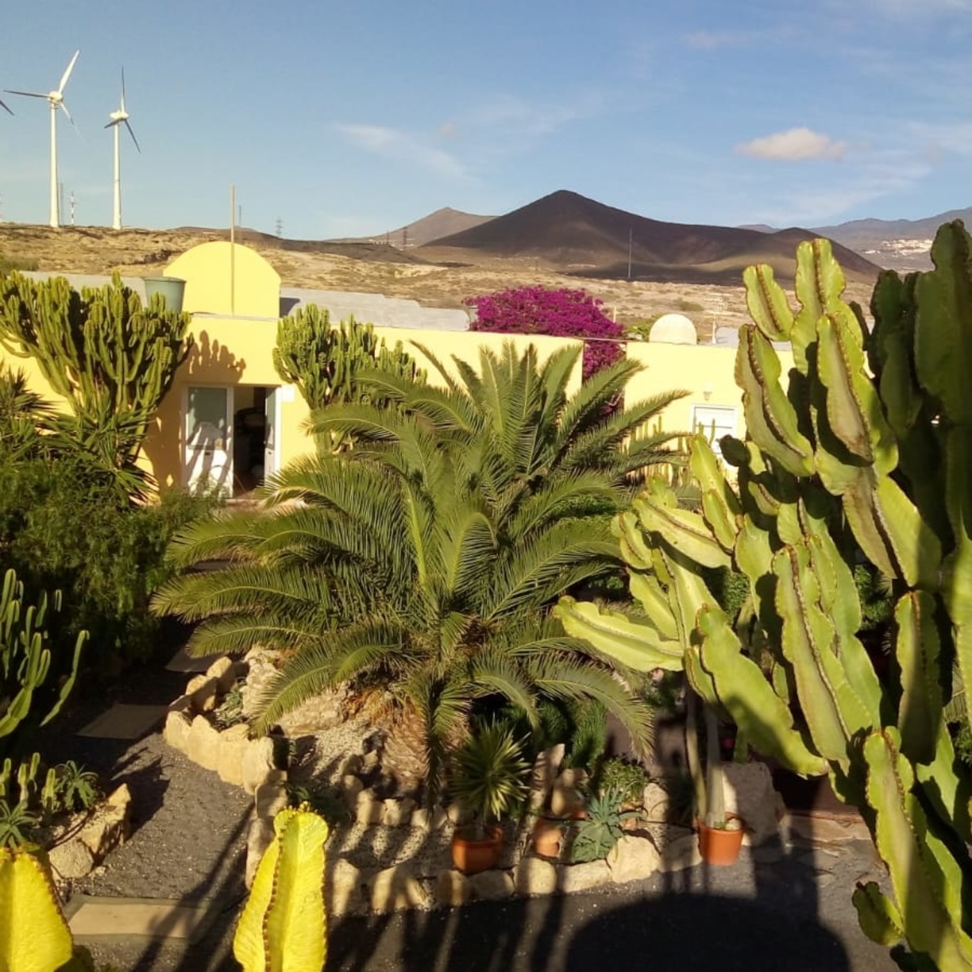 REPORTAJES DE CANDELARIA AL DÍA