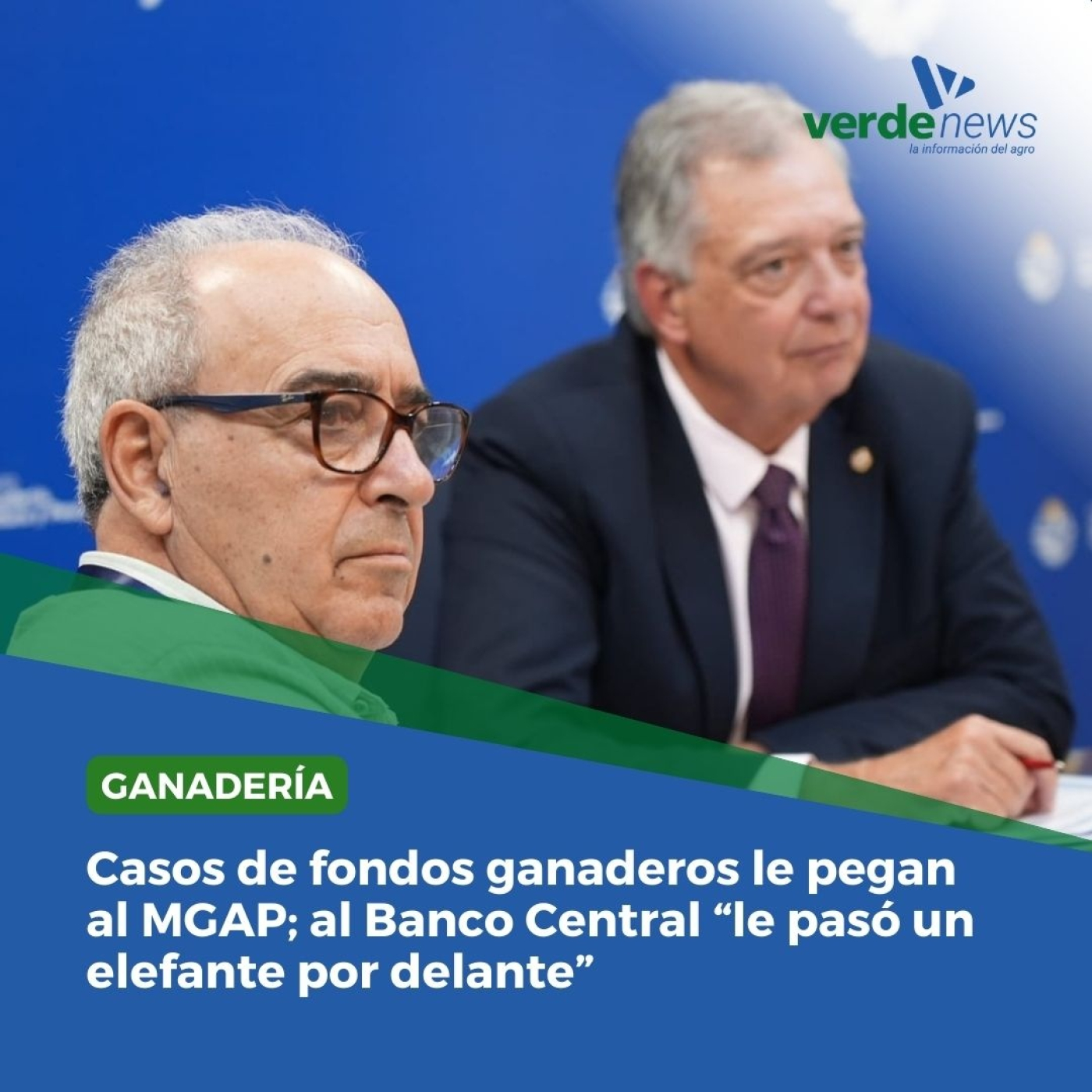 verdemedia
