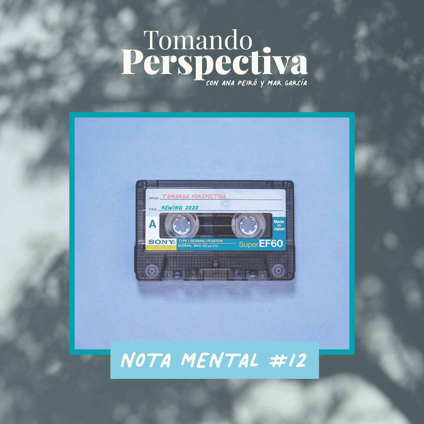 Tomando Perspectiva