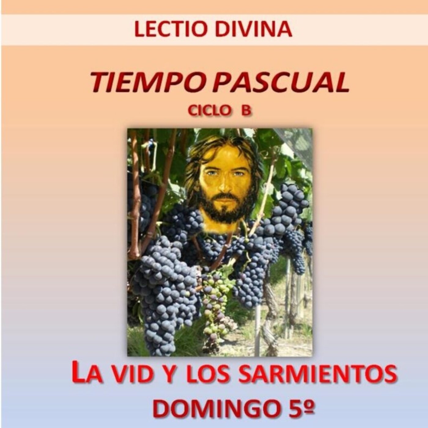 LECTIO DIVINA