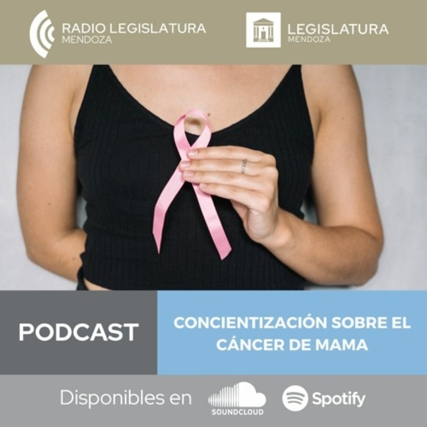 PODCAST Radio Legislatura