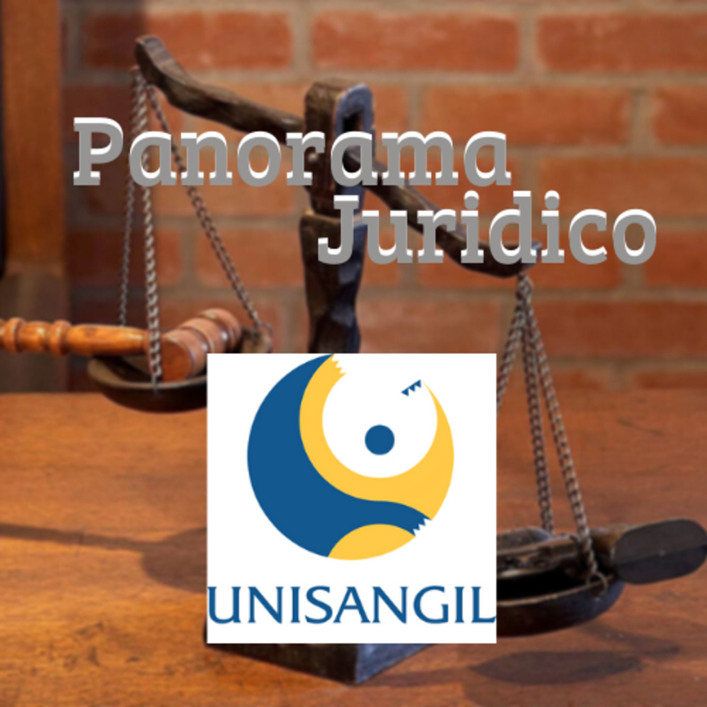 PANORAMA JURÍDICO