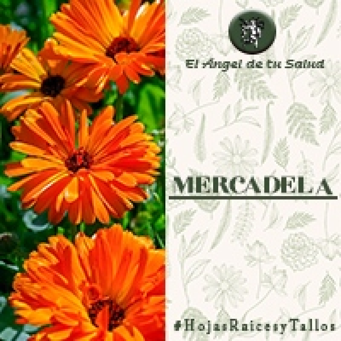 El Ángel de tu Salud - Mercadela** episode artwork