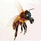 La Radio Liberada - 3ª Temporada - 31 - La desaparición de las Abejas, Mitología Nordica y los Cristianismos Derrotados