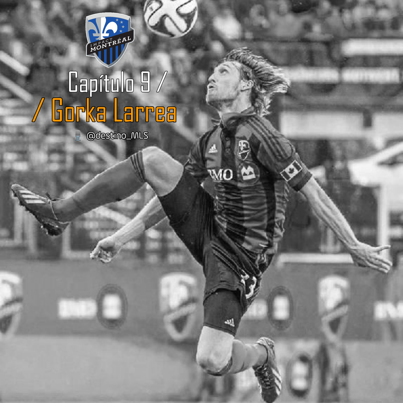 destino_MLS