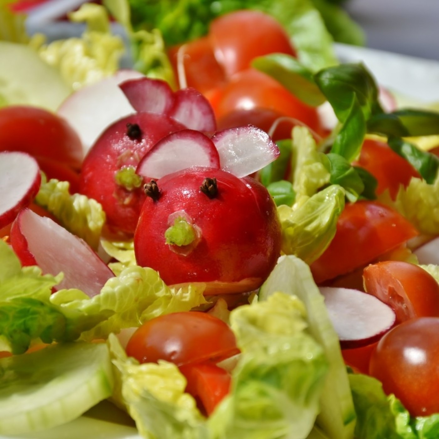 RADIOESCENA MAS D’ENRIC