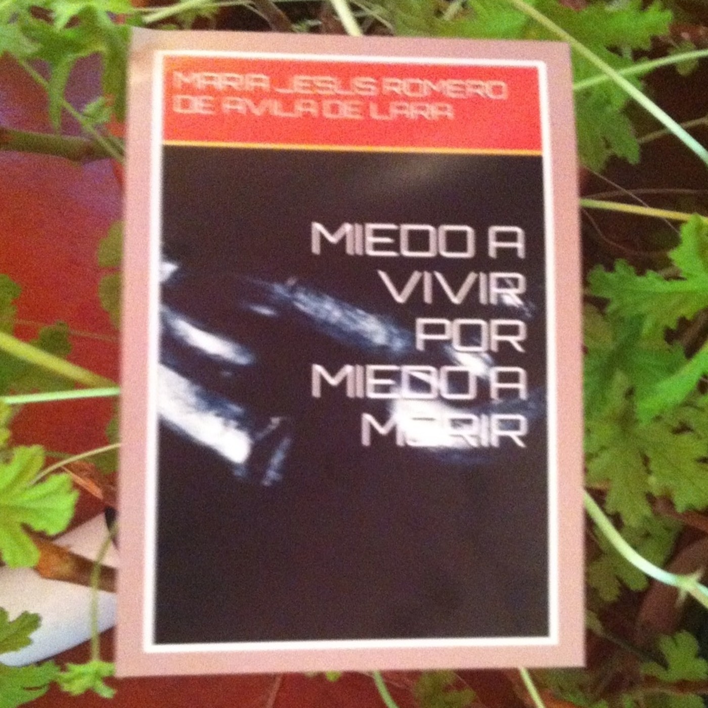 NOVELA MIEDO A VIVIR POR MIEDO A MORIR CAPITULO QUINCE Y ULTIMO..... episode artwork