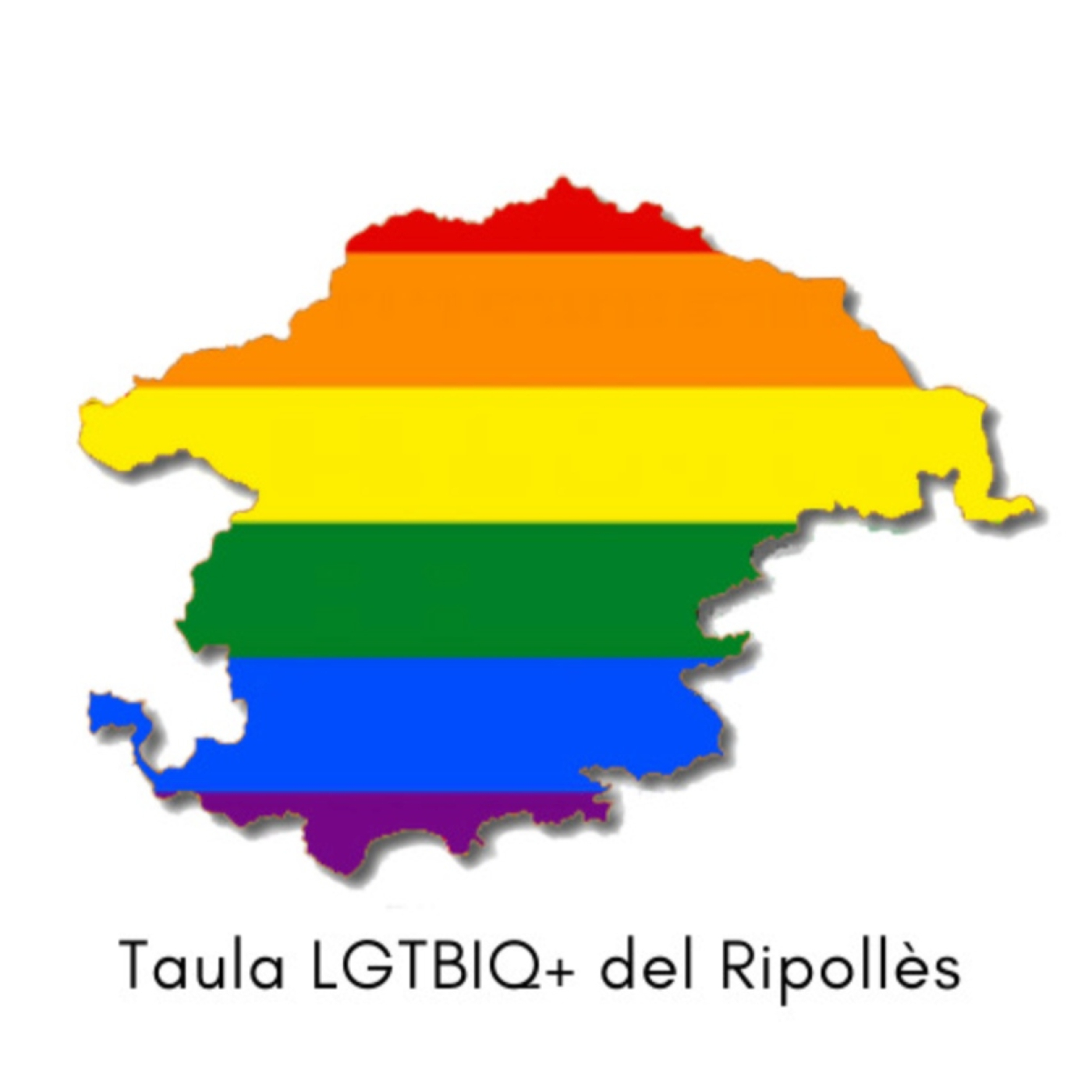 Es reprèn la taula LGTBIQ+ del Ripollès episode artwork