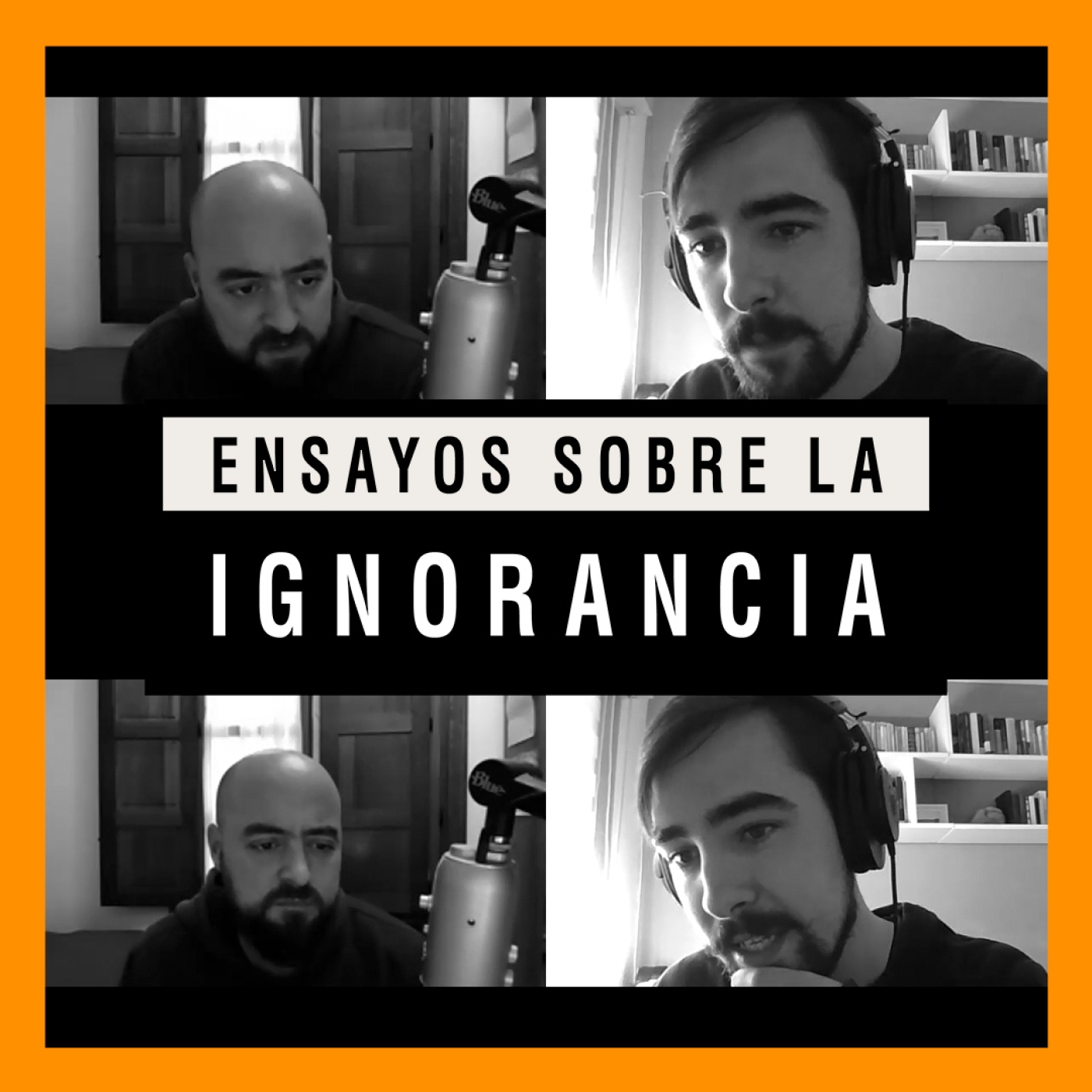 Ensayos sobre la ignorancia