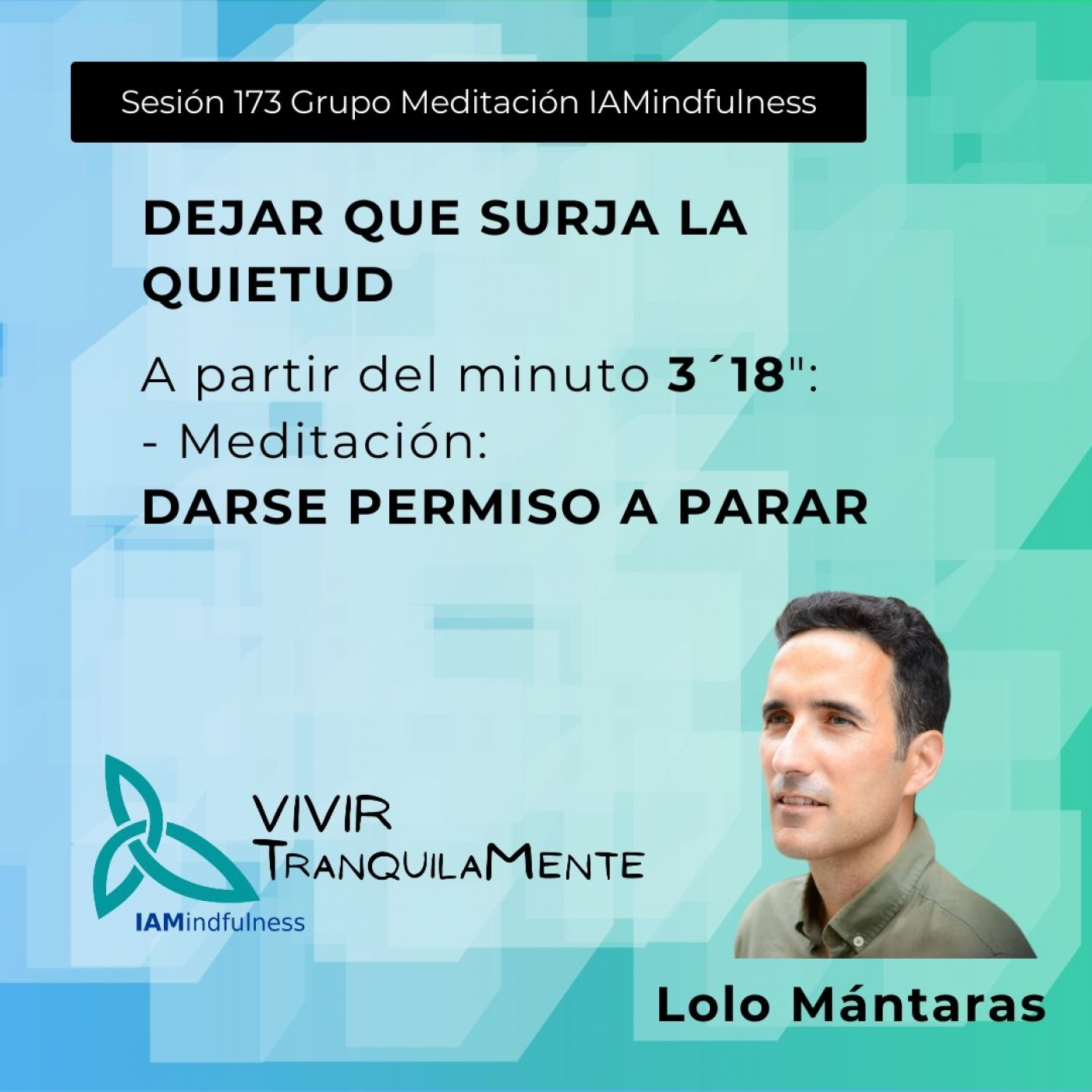 S173 DEJAR QUE SURJA LA QUIETUD - DARSE PERMISO A PARAR episode artwork