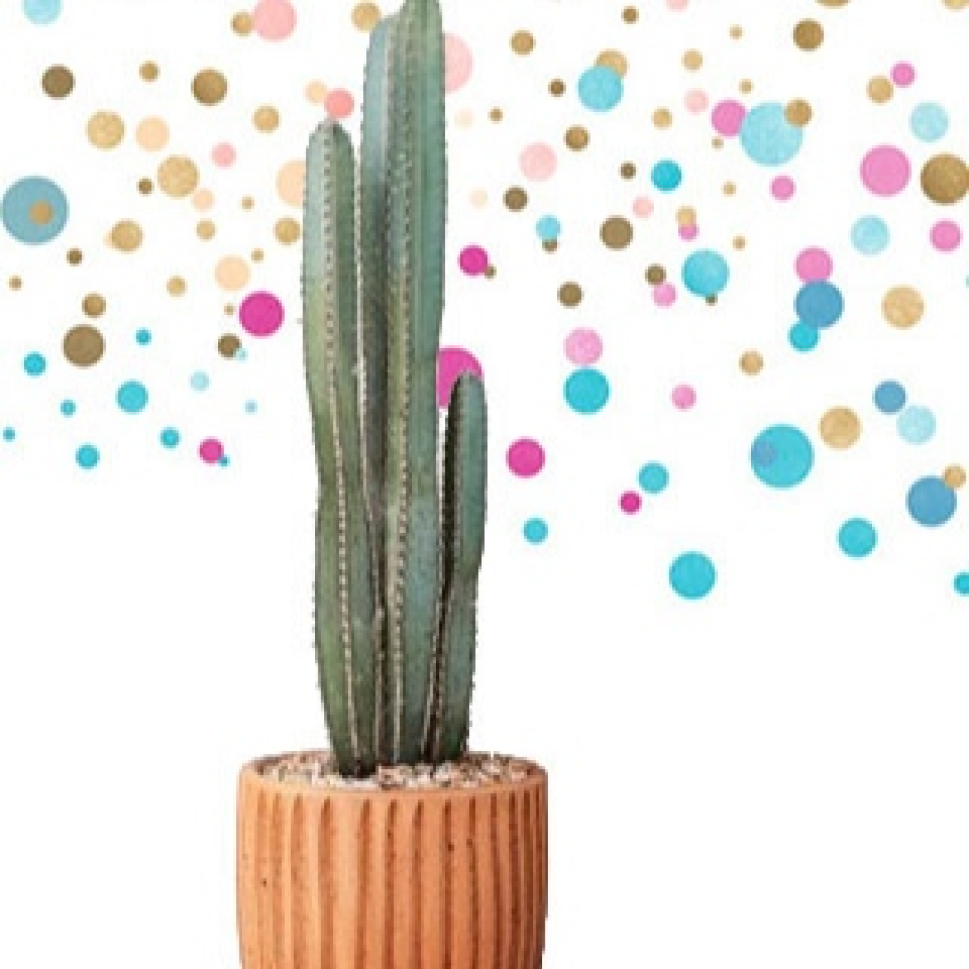 Cactus Confetti